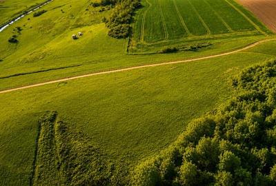 6.000 mp teren granitat de liziera compacta de padure, ecran natural de liniste, - 8