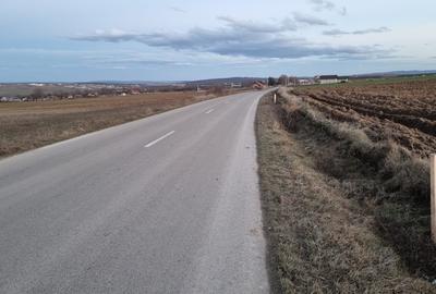 Teren intravilan in Curtesti spre Manastirea Doamnei - 3