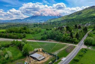 Teren 646mp intre Bran si Zarnesti (Tohanita,) intravilan - 3