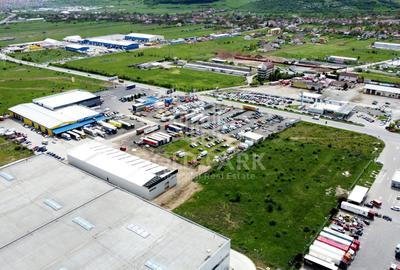 Hala/Depozit-Zona Autostrazii-Curte Betonata/Rampa-350-660-900 mp - 14