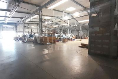 Spatiu industrial de vanzare in Bors - 3