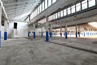 Inchiriere hale industriale lângă Brașov, Prejmer, Lunca Calnicului - 12