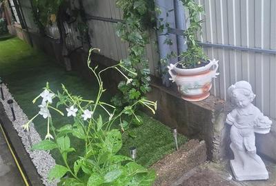 Casa 5 camere, suprafata teren 200 mp, zona Piata Saraca - 8