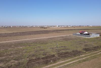 Teren Intravilan Zona Primaverii - Com Berceni | utilitati in zona | #EG27E - 5