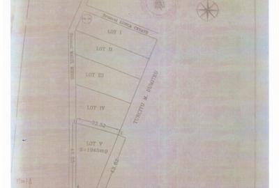 Splaiul Unirii - Lunca Veche - str.Malul Mierii, teren in suprafata de 1045 mp - 2