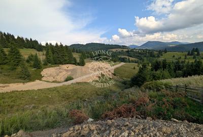 OFERTA! 11 Parcele teren intravilan-Piatra Fantanele, Castel Dracula - 4
