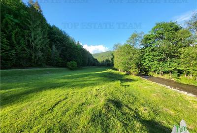 Teren Intravilan 12000 mp, Cascada Urlatoarea, proiect aprobat pentru Resort, la - 17