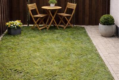 Cu structura generoasa, regim vila, mobilat, curte, gradina, loc parcare, Tracto - 1