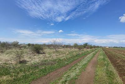 SUPER OFERTA - Teren intravilan Peris - 19240 mp lotizat - 4