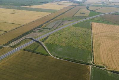 Teren 12 ha la Autostrada A1 cu PUZ aprobat - 2
