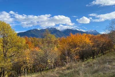 Teren intravilan Sohodol, priveliste catre Bucegi, Piatra Craiului,Magura Codlei - 3