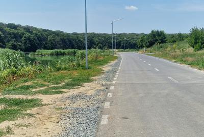 TEREN 1 880 MP IN BRANESTI | PADURE LAC | STR. SOARELUI - 5