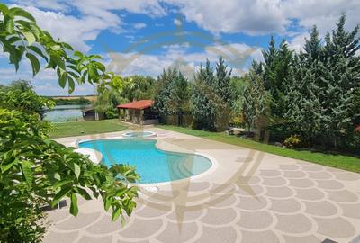 DOM00444 - Vila luxurianta la lac cu ponton si casa de barca  Snagov - 10