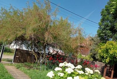 Ocazie! Teren intravilan cu utilități  in Aiton la 30 min. de centru Cluj-Napoca - 5