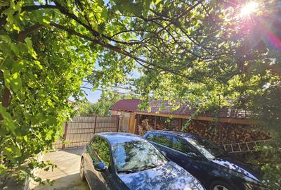 Vila superba de vanzare in Vintila Voda, Buzau D+P+1 si anexe - 11