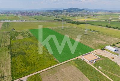 Teren Intravilan I 25 Euro/ mp I Brasov - Triaj - 16