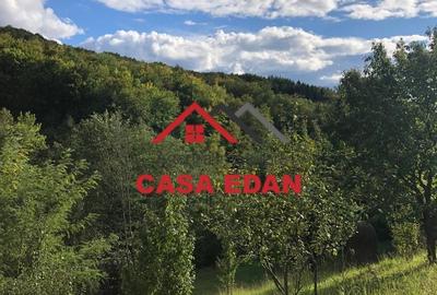 Teren extravilan in Brebu(Pietriceaua)--9104mp--50.000e - 5