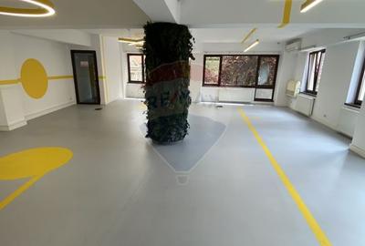 Spatiu de birouri pentru inchiriat Zona Unirii 380 mp - 12