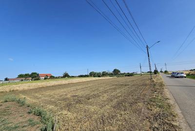 Teren intravilan generos 2 fronturi 900 mp Curtici Jud Arad - 4