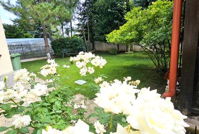 Baneasa vav Liceul Francez 6cam+4bai+garaj Curte 563mp Constr 2003 Merita Vazuta - 19