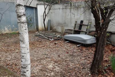 Pache Protopopescu-Agricultori-Matasari - 18