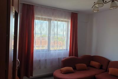 Apartament cu 1 camera decomandat Valea Adanca Cod oferta 162338 - 7