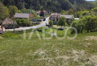 Teren intravilan de vanzare in Sasciori jud Alba - 2