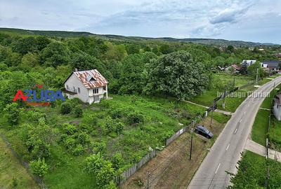 AZURA Imobiliare - Budeasa, Teren 5.069 mp, Casa BONUS - 7