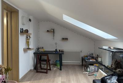 Casa deosebita 6 camere Faget cu teren generos de 1100 m2 - 26