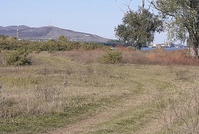 OCAZIE : INTRAVILAN com. MURIGHIOL - 19 euro/m.p. Deschidere Dunare  74 m. - 11