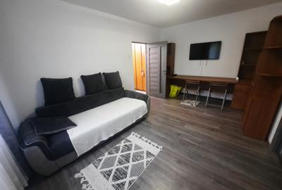 Apartament cu 2 camere, etaj 2/4, zona Podu Ros - 2