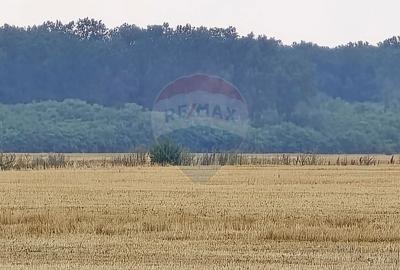 Teren Construcții intravilan de 11200 mp, în Nord-Est