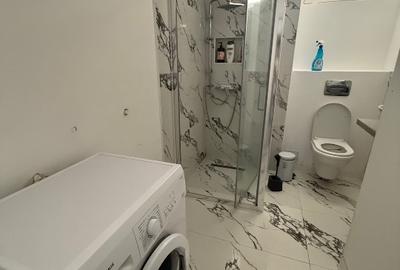 Apartament ultracentral pet friendly Timișoara - 2