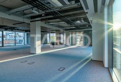 Birouri premium in Sibiu–Spatii flexibile moderne pentru companii - 4