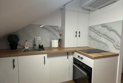 Apartament 1 camera - 47,45 mp - mobilat complet - zona Florilor! - 4