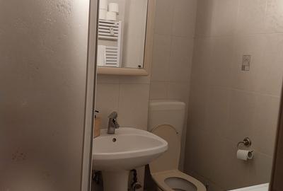 Piata Alba Iulia-strada Theodor Sperantia-apartament 4 camere - 8
