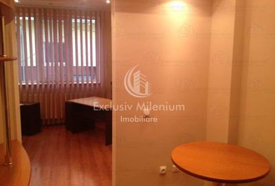 Parter Apartament la Vila Ideal Birouri Domenii - Banu Manta -Grivita - 6