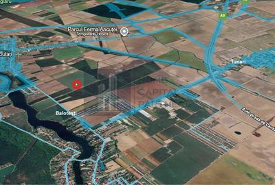Teren de vanzare 10.000 mp | Căciulați, Moara Vlăsiei | Balotesti - 2