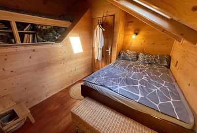 CABANA,CU TEREN DE 1500 MP - 7
