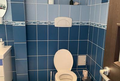 Casa 8 Camere Snagov - 17
