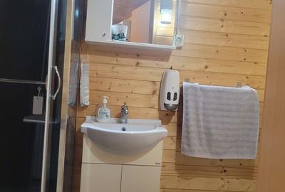 CASA SUPERBA 4 CAMERE ZONA VALU LUI TRAIAN 933MP - 22