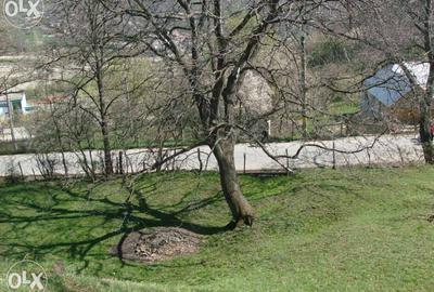 Vand Teren Intravilan Maneciu-Ungureni, Jud. Prahova - 8