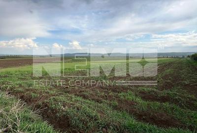 🌟 Teren de Vânzare 20 Ari | Salcea, Suceava | 💥 Preț: €59.600 - 2