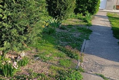 Casa de vanzare cu toate utilitățile. - 10
