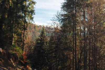 Teren intravilan de vanzare in Arieseni, jud. Alba - 2
