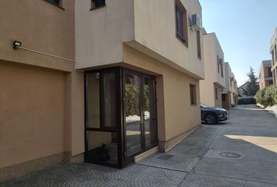 Vila de inchiriat- Bucuresti Nord-Pipera - 14