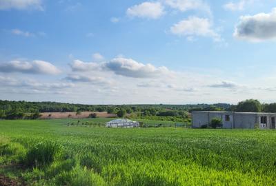 VANZARE TEREN INTRAVILAN PERIS - 1