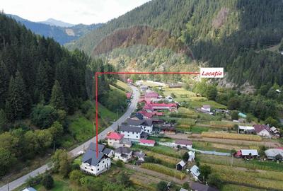 Casă / Vilă 7 camere sat Mădei comuna Borca Jud Neamț - 4
