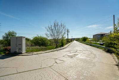 CORBEANCA - FICUSULUI, TEREN CONSTRUCTII, 13944 MP! - 9