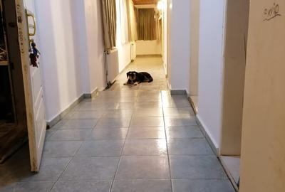 Singureni Stejaru casa intre paduri, cu teren 1600mp - 15